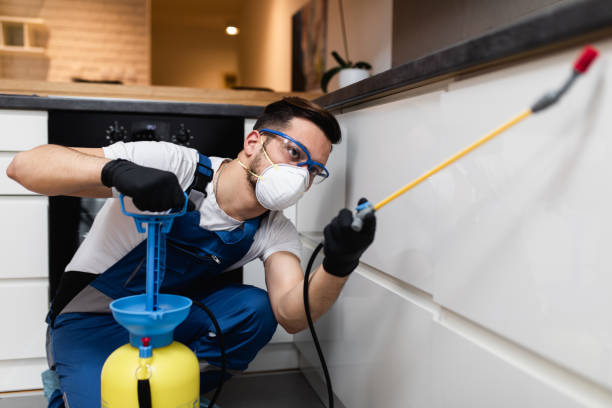 Pest Control for Restaurants in Mission, SD