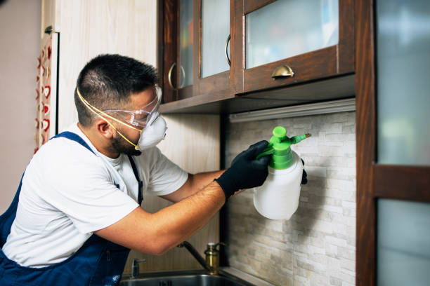 Best Pest Control Cost  in Mission, SD