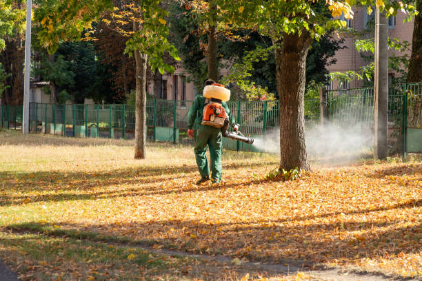 Insect Control in Mission, SD
