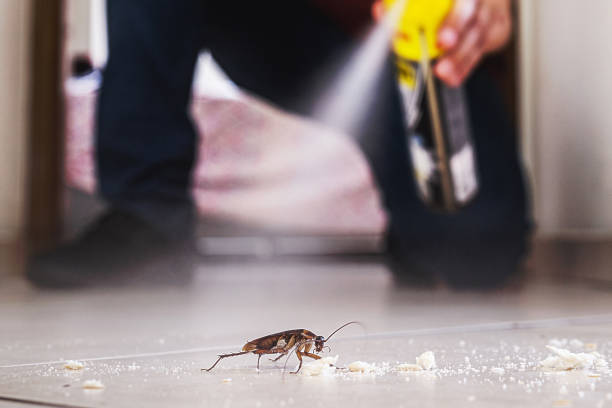 Best Pest Prevention Services  in Mission, SD