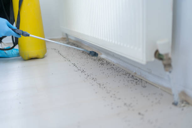 Best Bed Bug Extermination  in Mission, SD